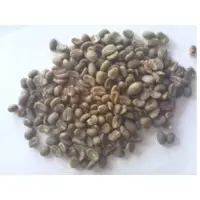 Arabica Coffee Bean
